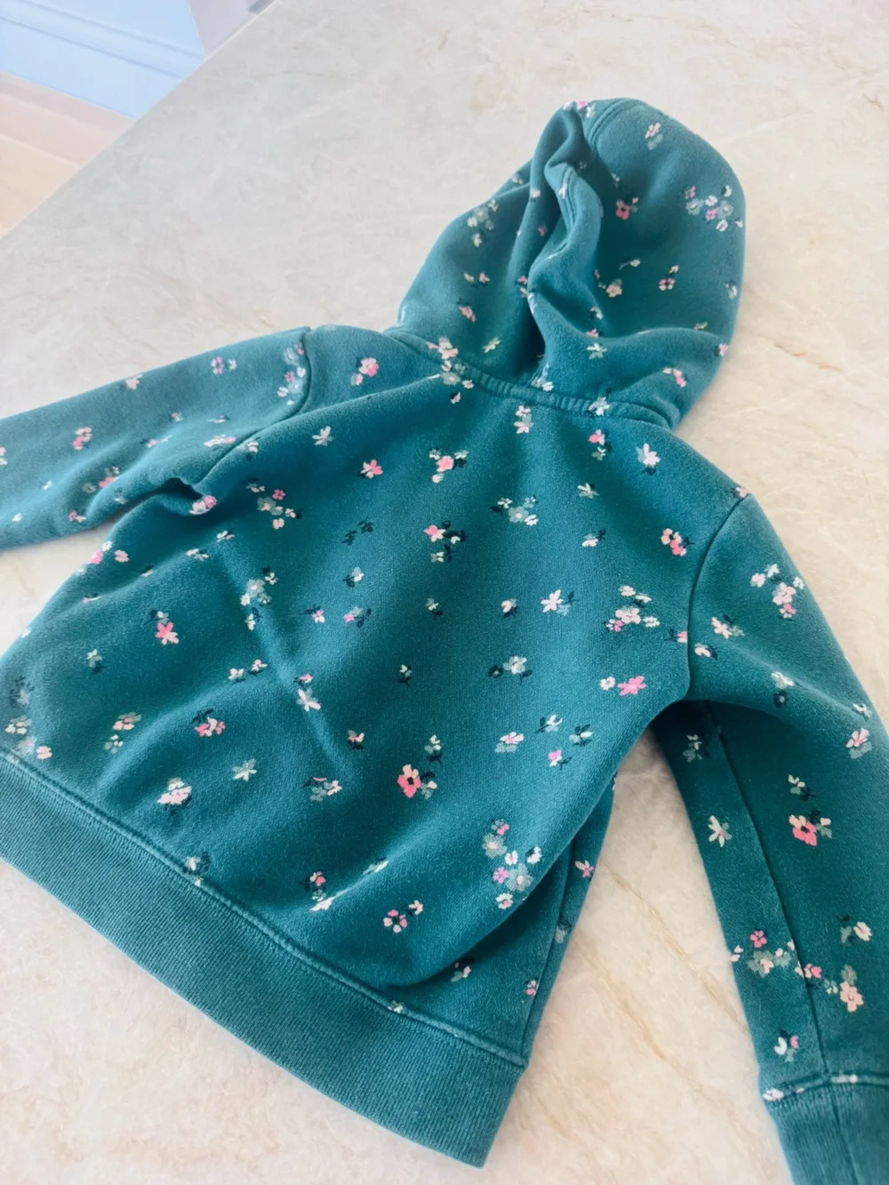 Baby Gap Floral Full Zip Hoodie Girls 2 Years Teal Green Pink Flowers Fleece